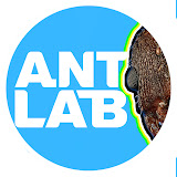Ant Lab
